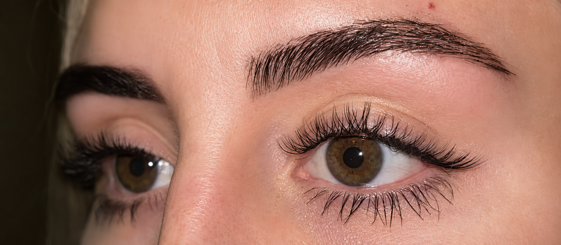 Studio 7 eyebrow finish with a defined arch and balanced tone